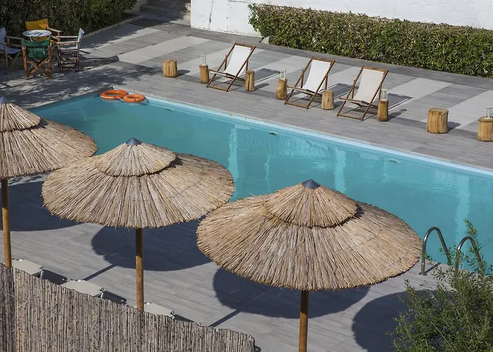 בית הארחה Ammos טולון